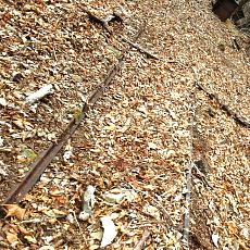 190323_p25.jpg
