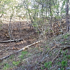 190518_p07.jpg