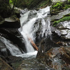 200621_p04.jpg