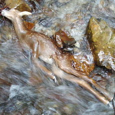 200621_p11.jpg
