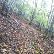 201018_p15.jpg