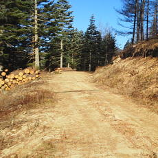 201117_p35.jpg