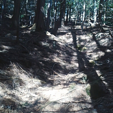 201206_p45.jpg