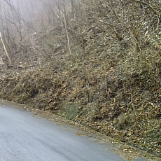 201206_p52.jpg