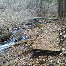 201219_p11.jpg