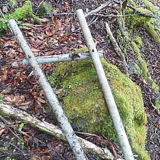 210522_p25.jpg