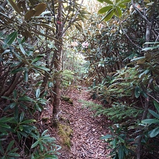 220618_p25.jpg