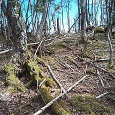 220528_p59.jpg