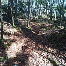 221028_p04.jpg