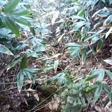 241112_p14.jpg