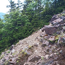 240612_p38.jpg