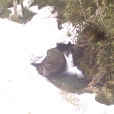 120525_p05.jpg