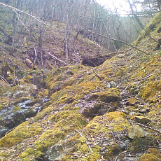 130506_p16.jpg