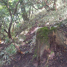 130623_p02.jpg