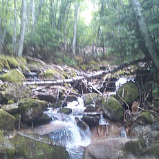 130706_p07.jpg