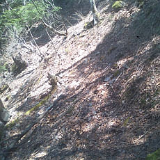 140427_p14.jpg