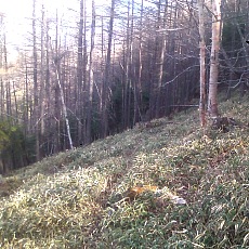 150429_p02.jpg