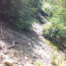 150628_p05.jpg