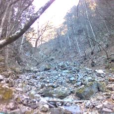 160109_p12.jpg