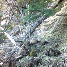 160505_p14.jpg
