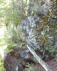 170617_p36.jpg