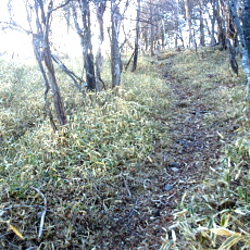 180422_p04.jpg