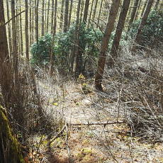 181021_p11.jpg