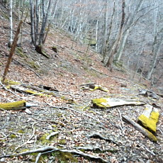 190302_p17.jpg