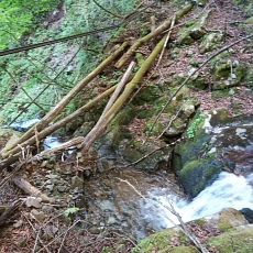 220528_p09.jpg