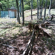 220528_p22.jpg