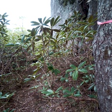220618_p13.jpg
