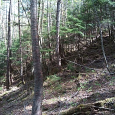220528_p52.jpg
