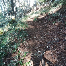 221112_p33.jpg