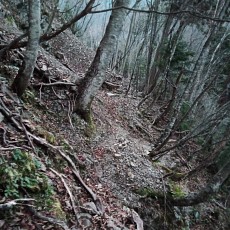221112_p55.jpg