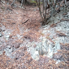 231030_p14.jpg