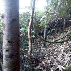 241112_p08.jpg