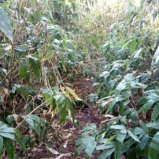 240530_p18.jpg