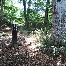 250629_p14.jpg