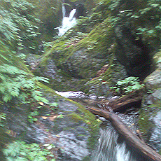 110815_p06.jpg