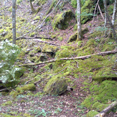 120916_p11.jpg