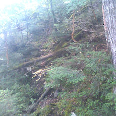 130914_p10.jpg