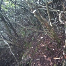 131006_p28.jpg