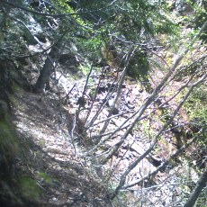 140517_p20.jpg