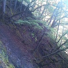 140922_p14.jpg