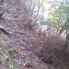 141004_p07.jpg