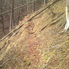 141210_p03.jpg