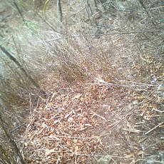150429_p21.jpg