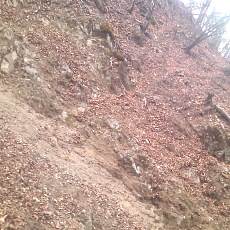 150429_p38.jpg
