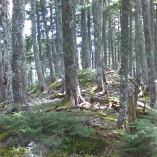 150522_p15.jpg