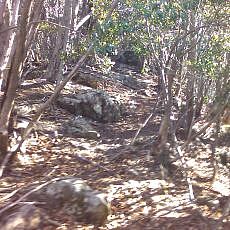 151230_p05.jpg